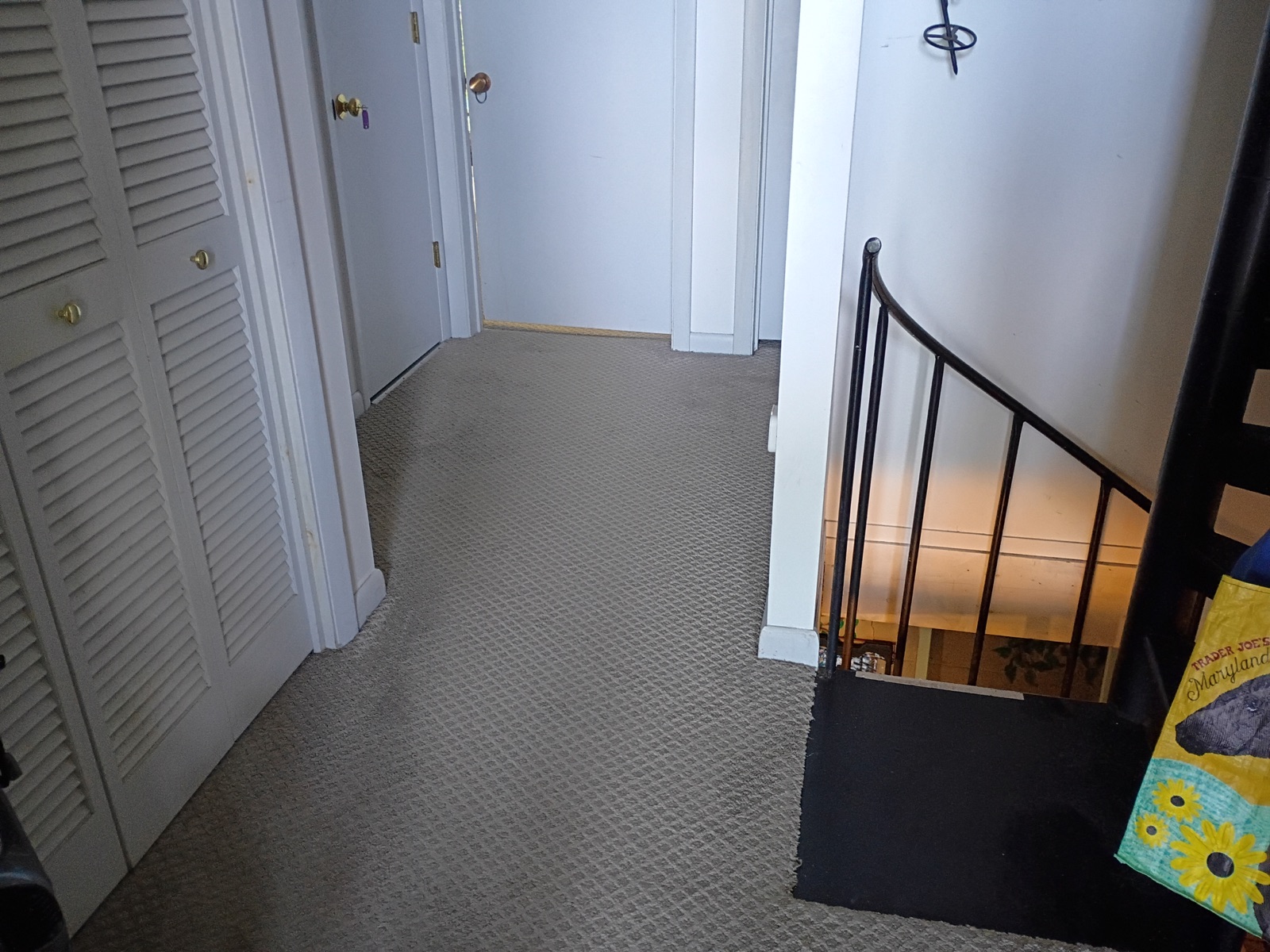 Clean carpeted landing beside a stair rail